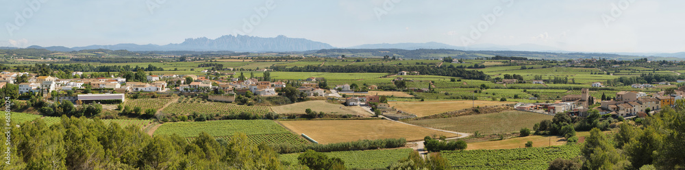 Vineyards with Montserrat peaks at background