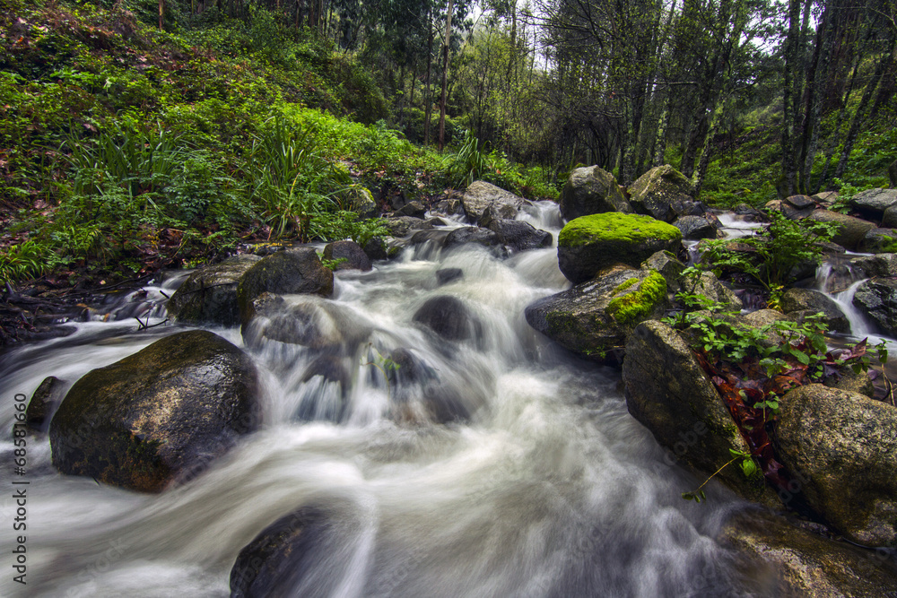 river stream on the beautiful Monchique river stream on the beautiful Monchique