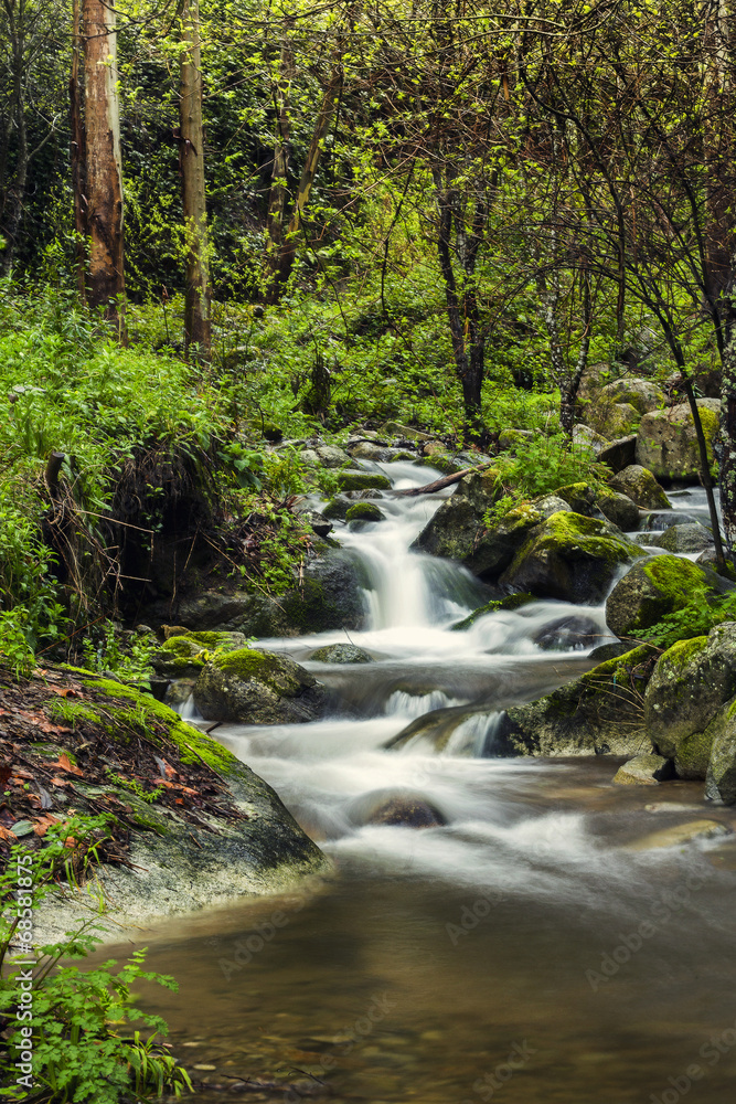 river stream on the beautiful Monchique river stream on the beautiful Monchique