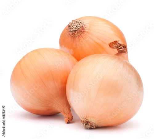 Wallpaper Mural Gold onion vegetable bulbs Torontodigital.ca