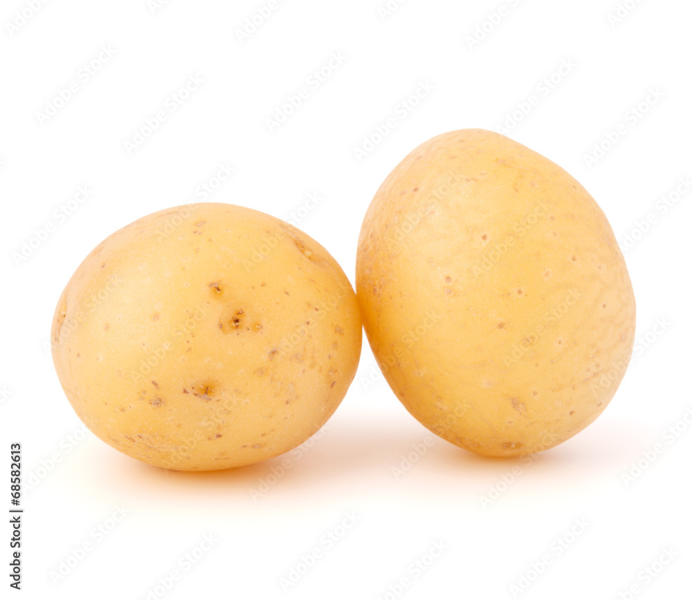 new potato tuber isolated on white background cutout new potato tuber isolated on white background cutout