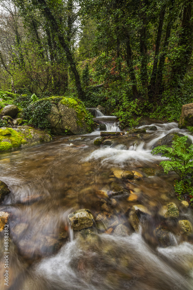  river stream on the beautiful Monchique 