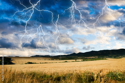 thunderstorm with lightning in wheat land