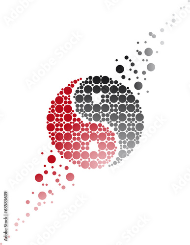 ying yang evulution