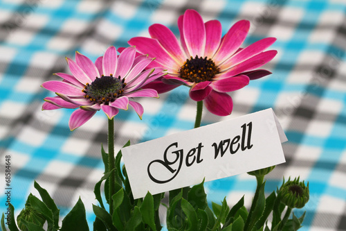 Fototapeta Naklejka Na Ścianę i Meble -  Get well card with pink gerbera daisies