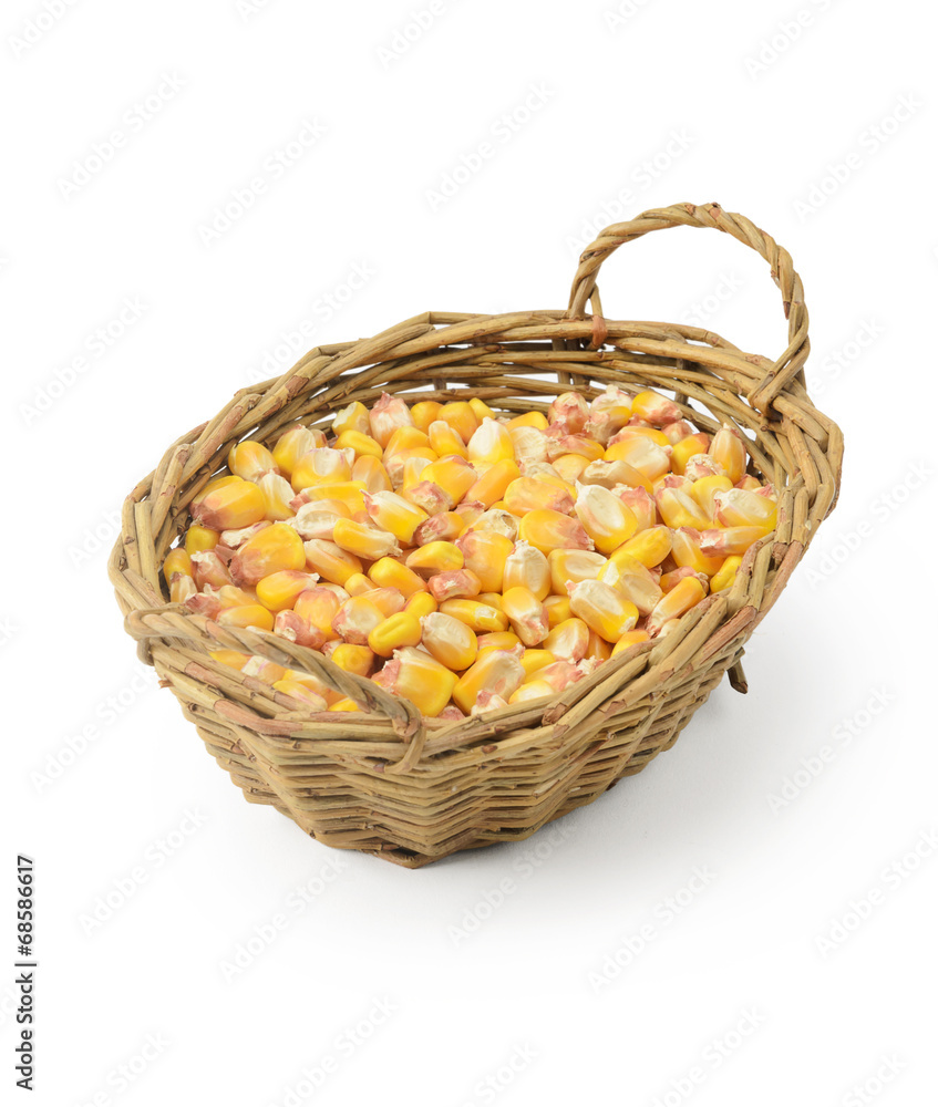 Corn seeds in basket Corn seeds in basket