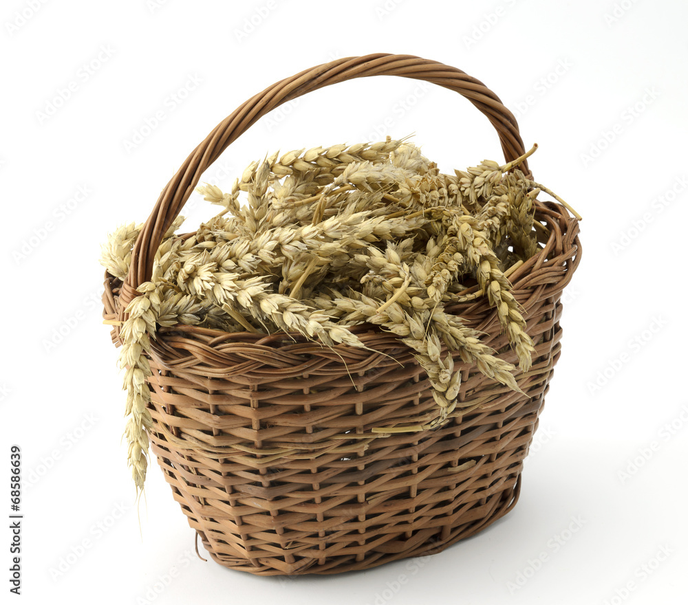 Ears of wheat in basket