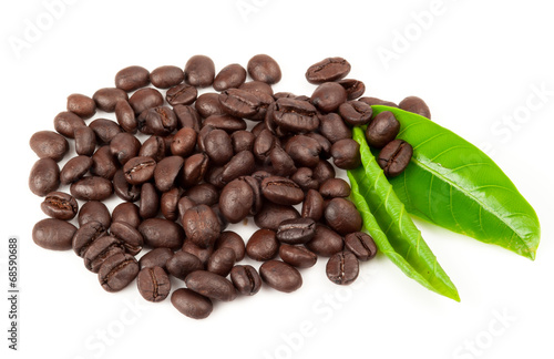 Closeup of coffee beans with focus on one