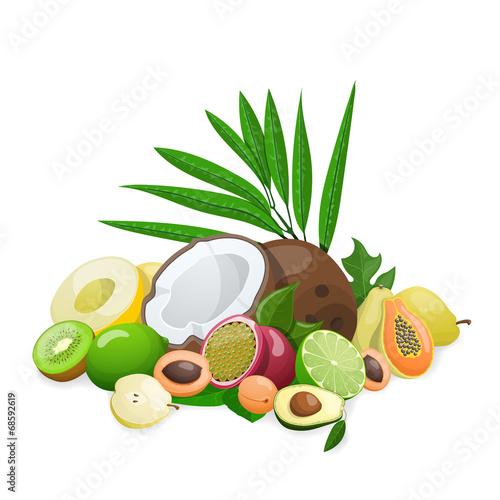 Big group of exotic fruit. Vector illustration