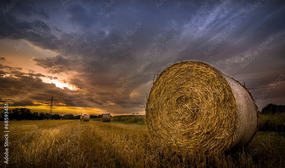 Bales of hay in the field during the morning sunrise Bales of hay in the field during the morning sunrise