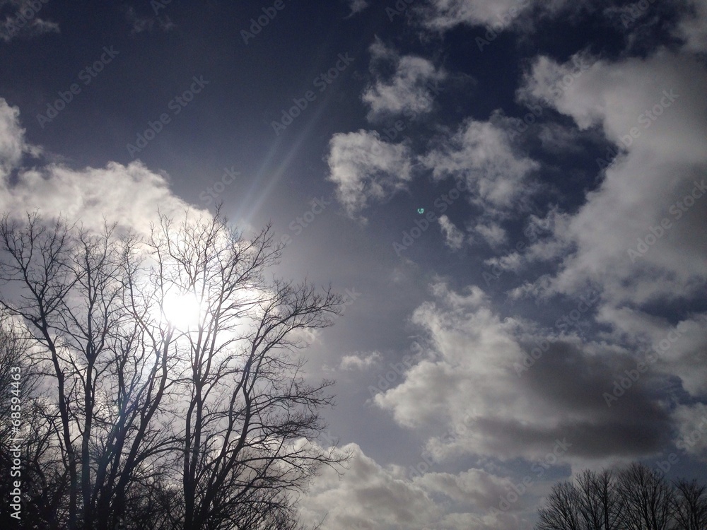 Obraz premium parsaggio