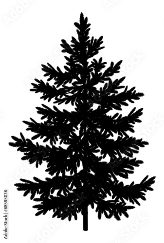 Christmas spruce fir tree silhouette