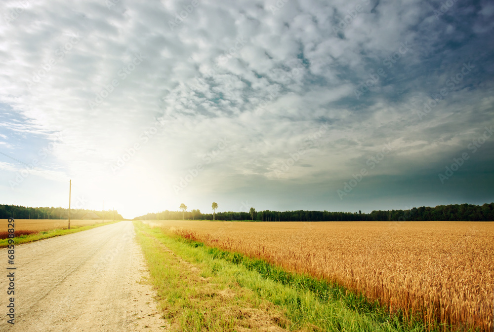 Obraz premium Country road