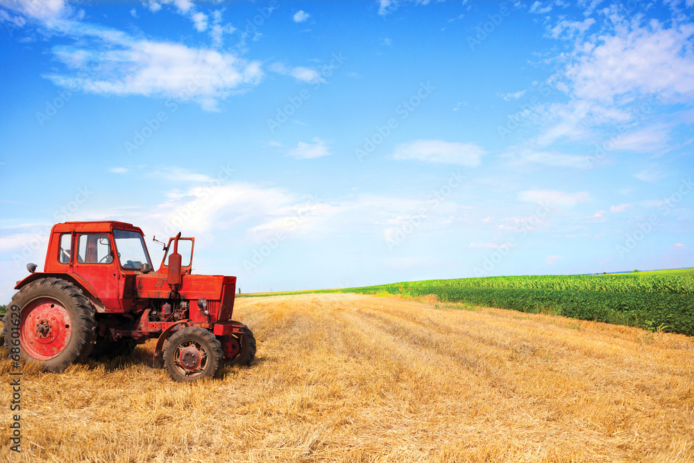 old red tractor during wheat harvest on cloudy summer day