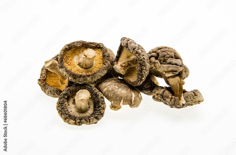 dried shitake mushrooms. on a white background. dried shitake mushrooms. on a white background.