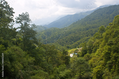 View to the jungle in Vietnam near Sapa