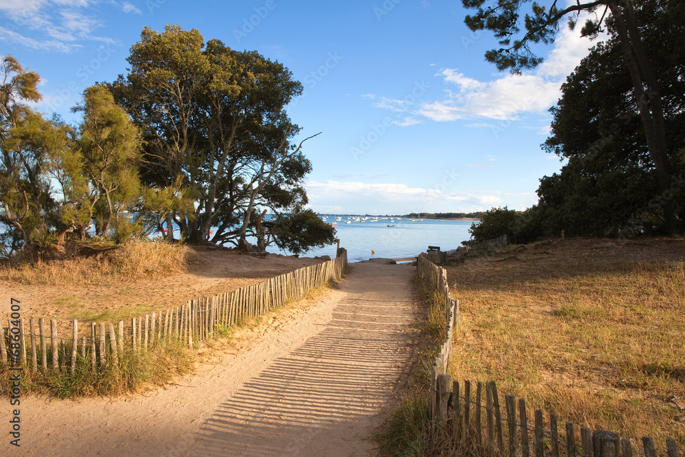 Obraz premium France > Vendée > Noirmoutier > Plage