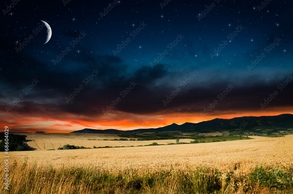 Wheat in the night. Elements of this image furnished by NASA.