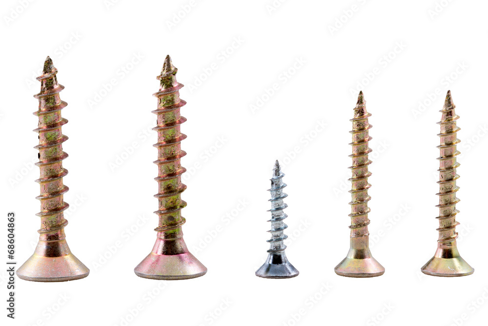 screw screw