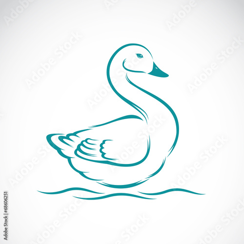 Vector image of swan
