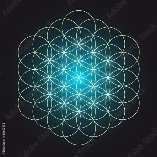 Glowing Flower of Life - Geometrical Ornament