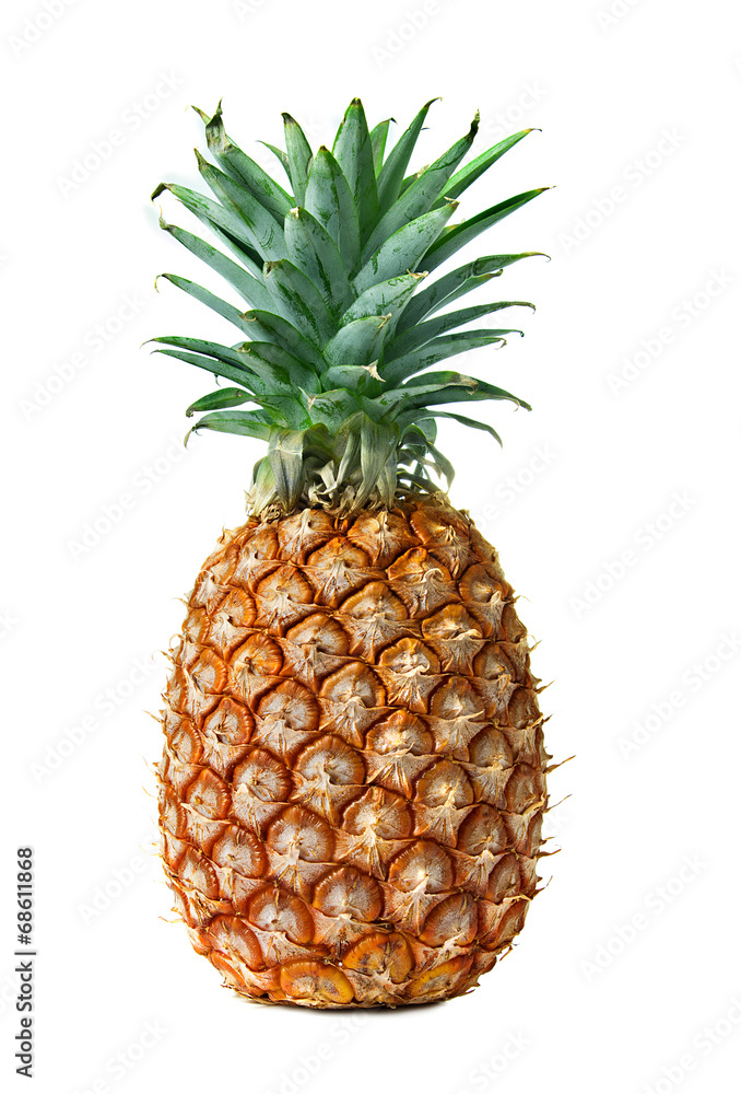 pineapple isolated on white background pineapple isolated on white background
