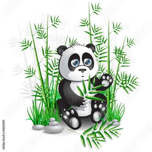 Fototapeta Naklejka Na Ścianę i Meble -  panda bamboo