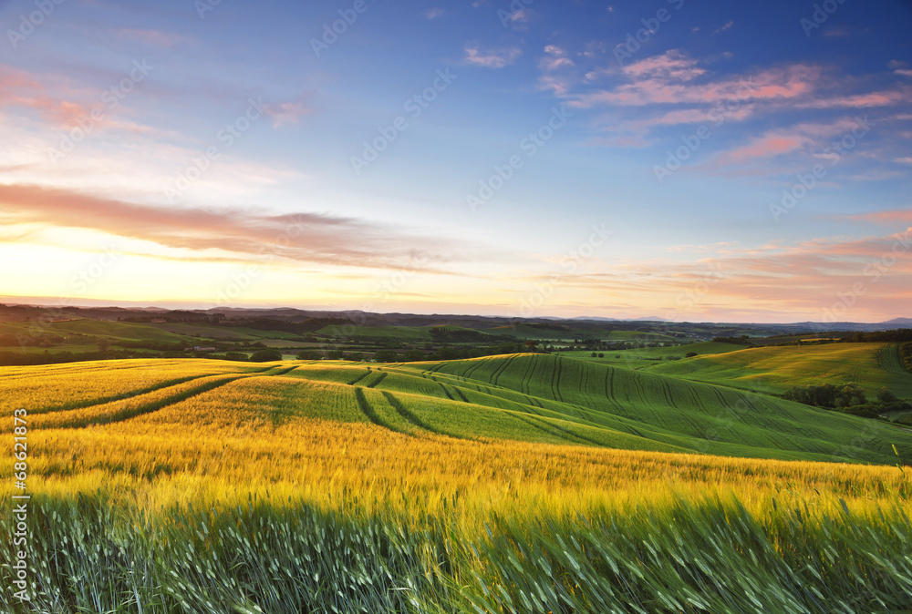 Fototapeta premium Rural landscape of the Tuscan countryside at dawn