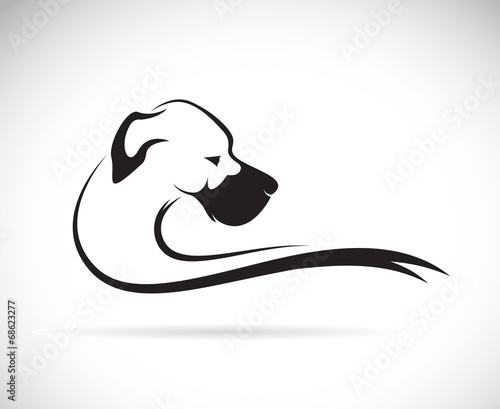 Vector image of an dog (great dane)