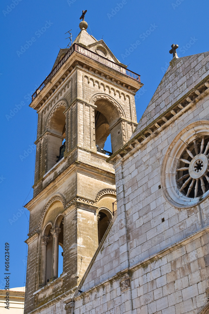 Cathedral of Assunta. Minervino Murge. Puglia. Italy.