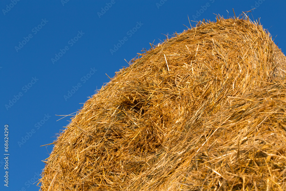 Piled hay bales on a field against blue sky Piled hay bales on a field against blue sky