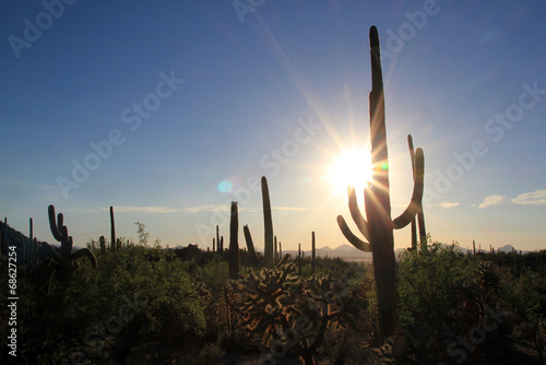 Sunset Over Saguaro National Park, Tucson, Arizona, USA