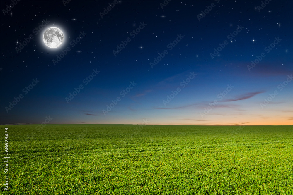 Obraz premium Green field in the night