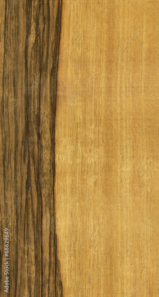 Naklejka premium texture of limba tree