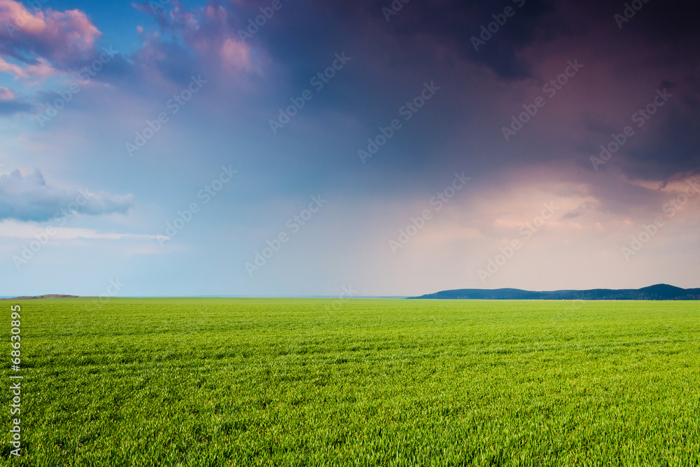 green field in the night