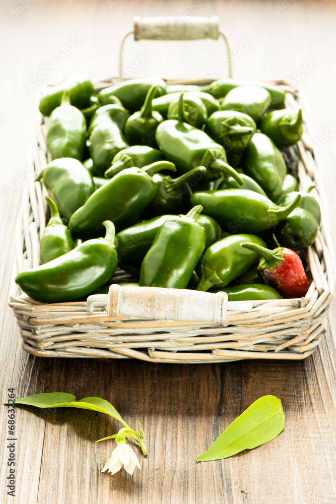 Korb mit Jalapenos Korb mit Jalapenos