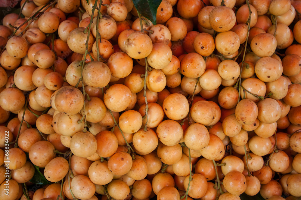 Burmese grape Burmese grape