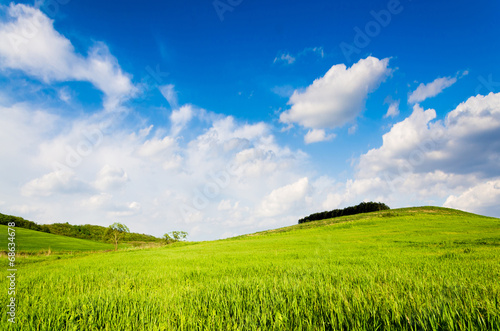 green field background