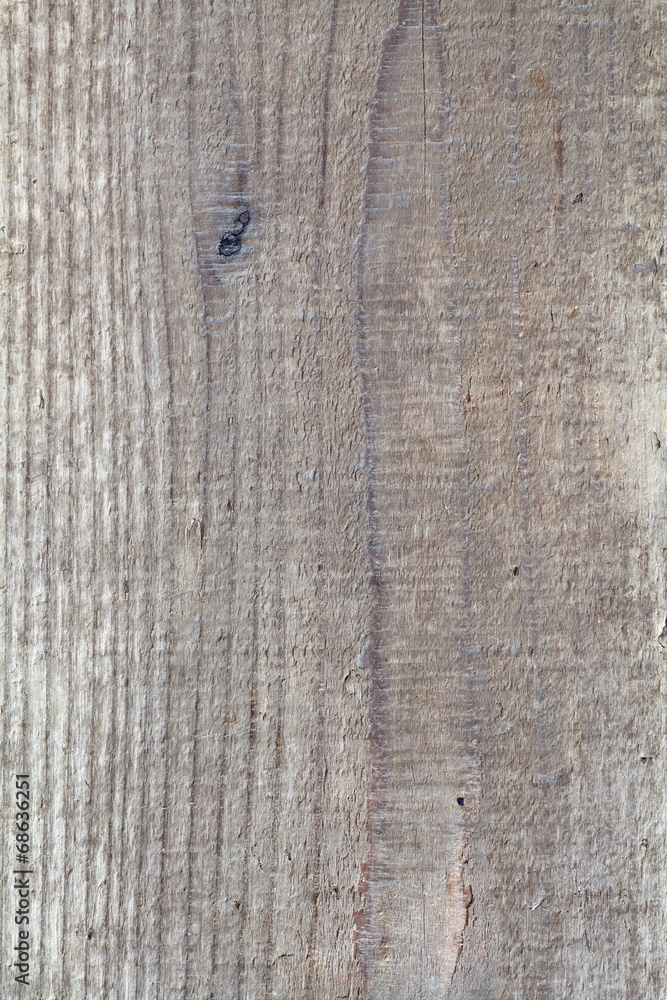 Close - up Natural wood texture and background Close - up Natural wood texture and background