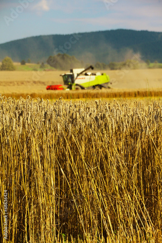 Harvester