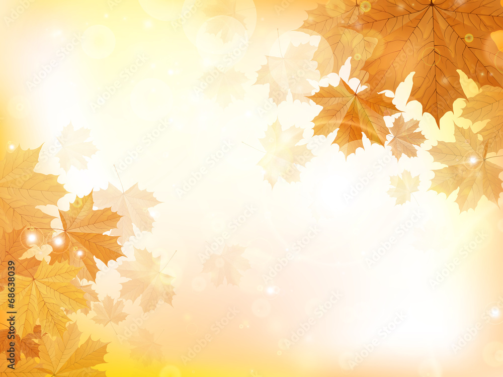 Autumn design background with leaves Autumn design background with leaves