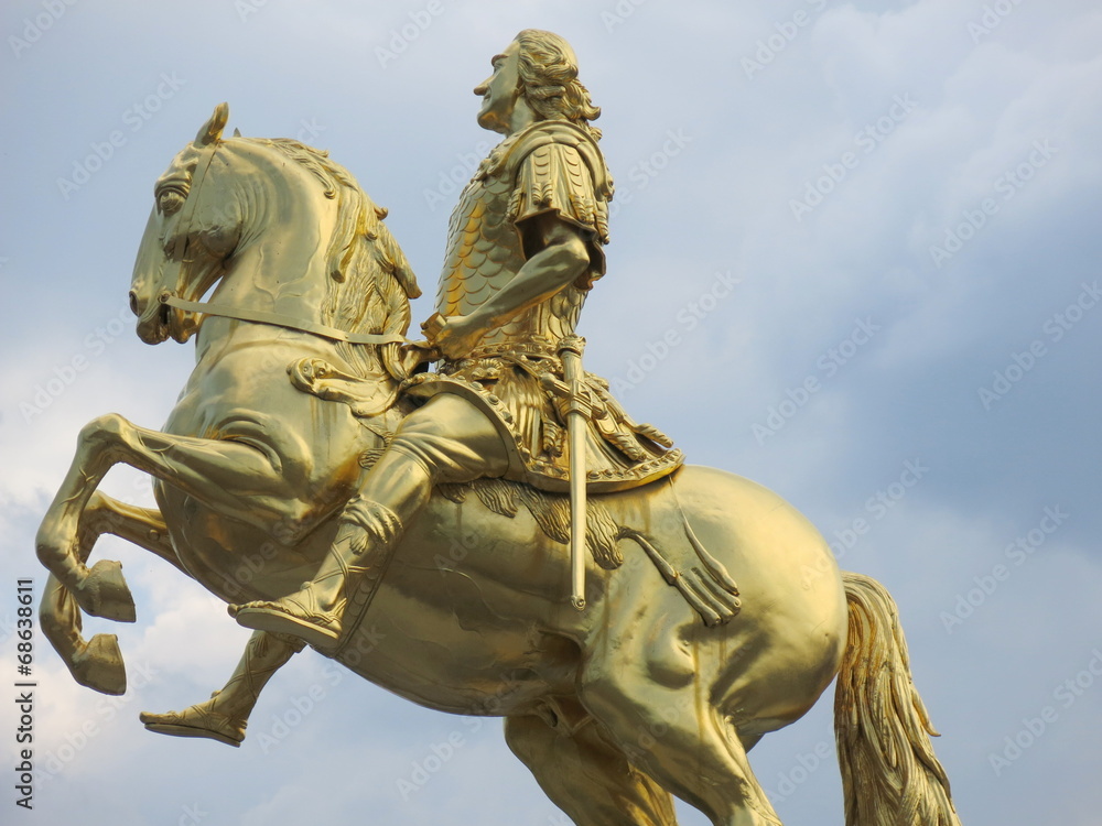 Fototapeta premium August in Gold