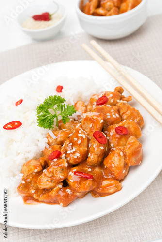 chicken fillet in tomato sauce with sesame seeds and rice