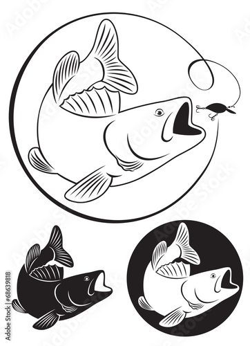 fish bass