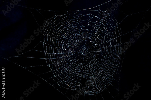 dark spiderweb