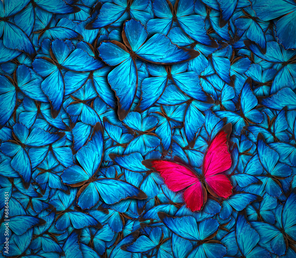 Obraz premium piękny motyl tło
