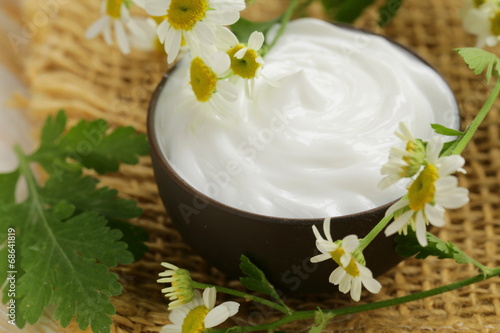 natural cosmetic cream lotion with green camomile