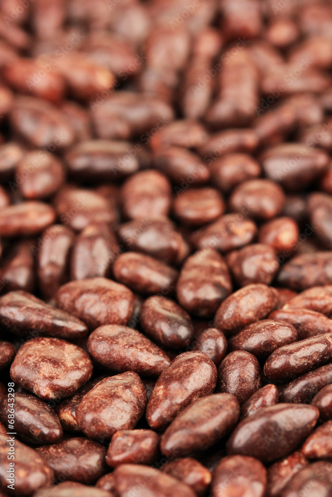 Sunflower grains in chocolate, close up Sunflower grains in chocolate, close up