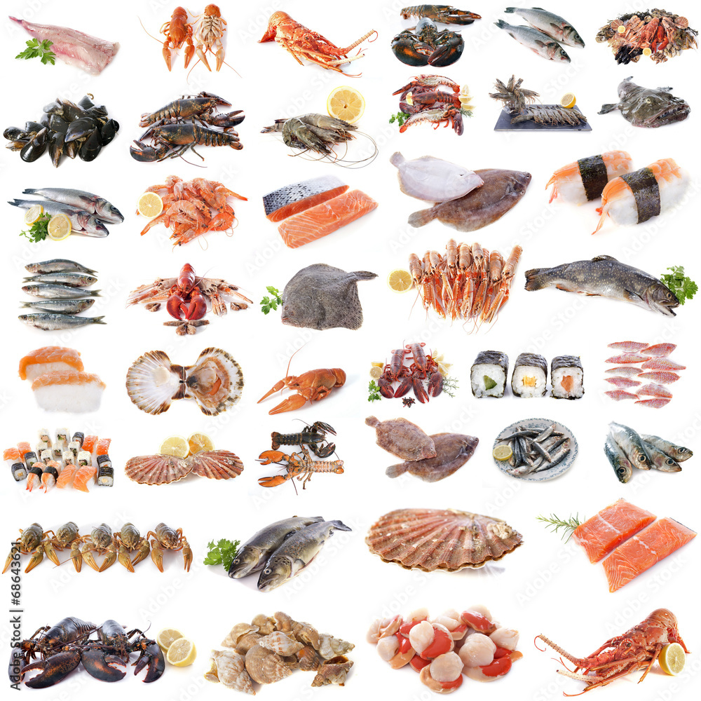 seafood, fish and shellfish seafood, fish and shellfish