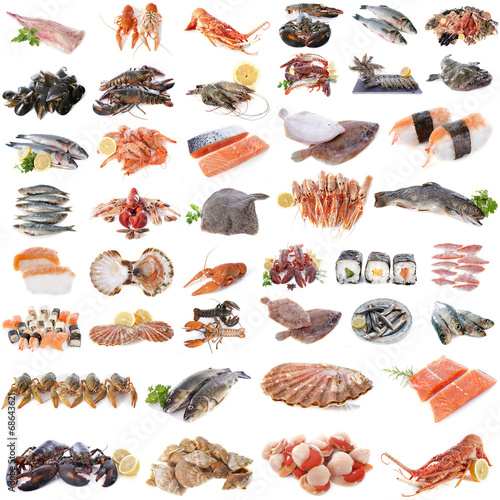 seafood, fish and shellfish